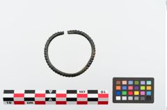 Foto von Bronzearmreif (NHMW-PRAE-024312)